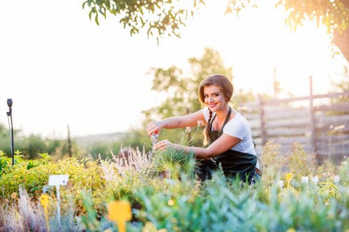 Gardening service terms and conditions introduction