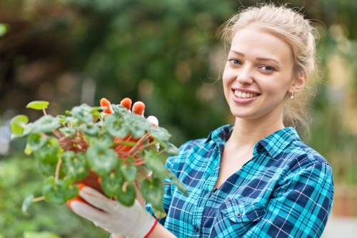 Healthy residential lawn care in Yeading with neat green grass