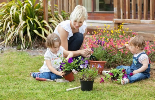 Stump grinding and tree care service in Yeading