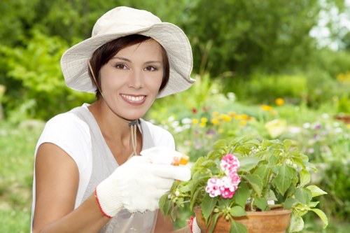 Seasonal lawn care and moss management in Yeading