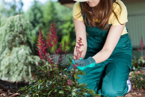 Local transfer station handling garden waste from Yeading