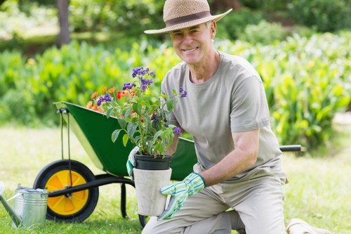 Seasonal lawn maintenance and mowing in Yeading