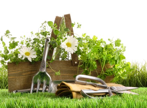 Load-based garden waste removal quote in Yeading