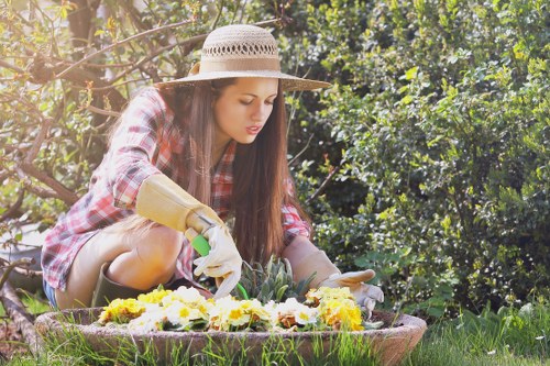 Professional hedge cutting improving garden shape in Yeading