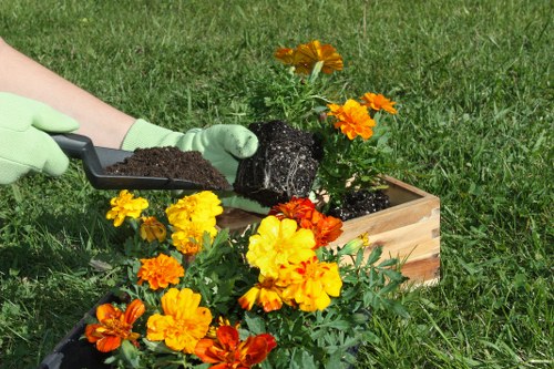 Reviewing a gardening service issue carefully