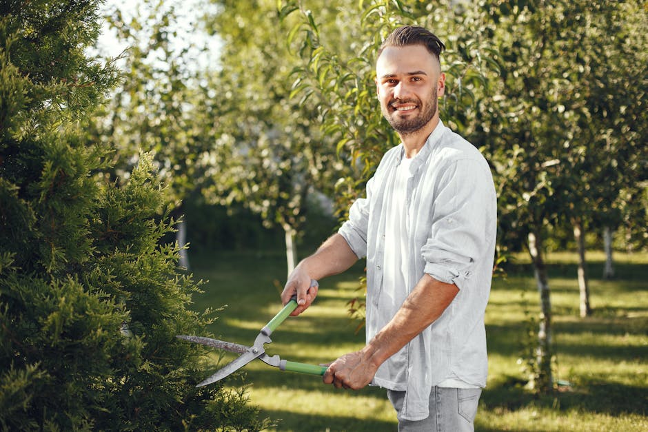 A man with short dark hair and a beard, wearing a white shirt with rolled-up sleeves, is trimming a dense, green hedge with garden shears in a well-maintained garden. The garden features a neatly mowe