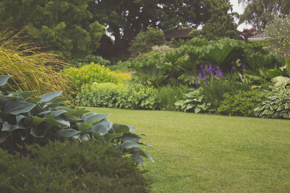 A man with short dark hair and a beard, wearing a white shirt with rolled-up sleeves, is trimming a dense, green hedge with garden shears in a well-maintained garden. The garden features a neatly mowe