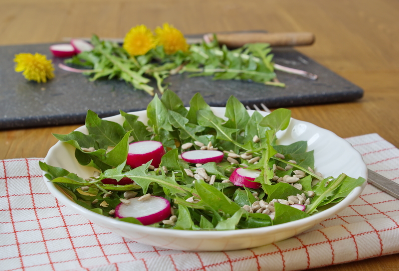 Garden design Garden