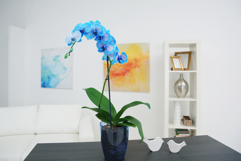 hedge trimming garden