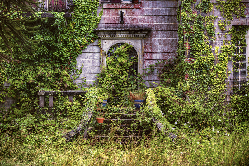 garden landscaping landscape design