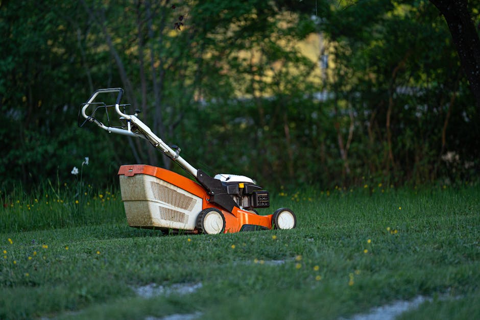 A close-up view of an orange and white petrol-powered lawn mower resting on a lush, green lawn in a garden setting. The mower has a textured grass collection box attached at the back and a cutting bla
